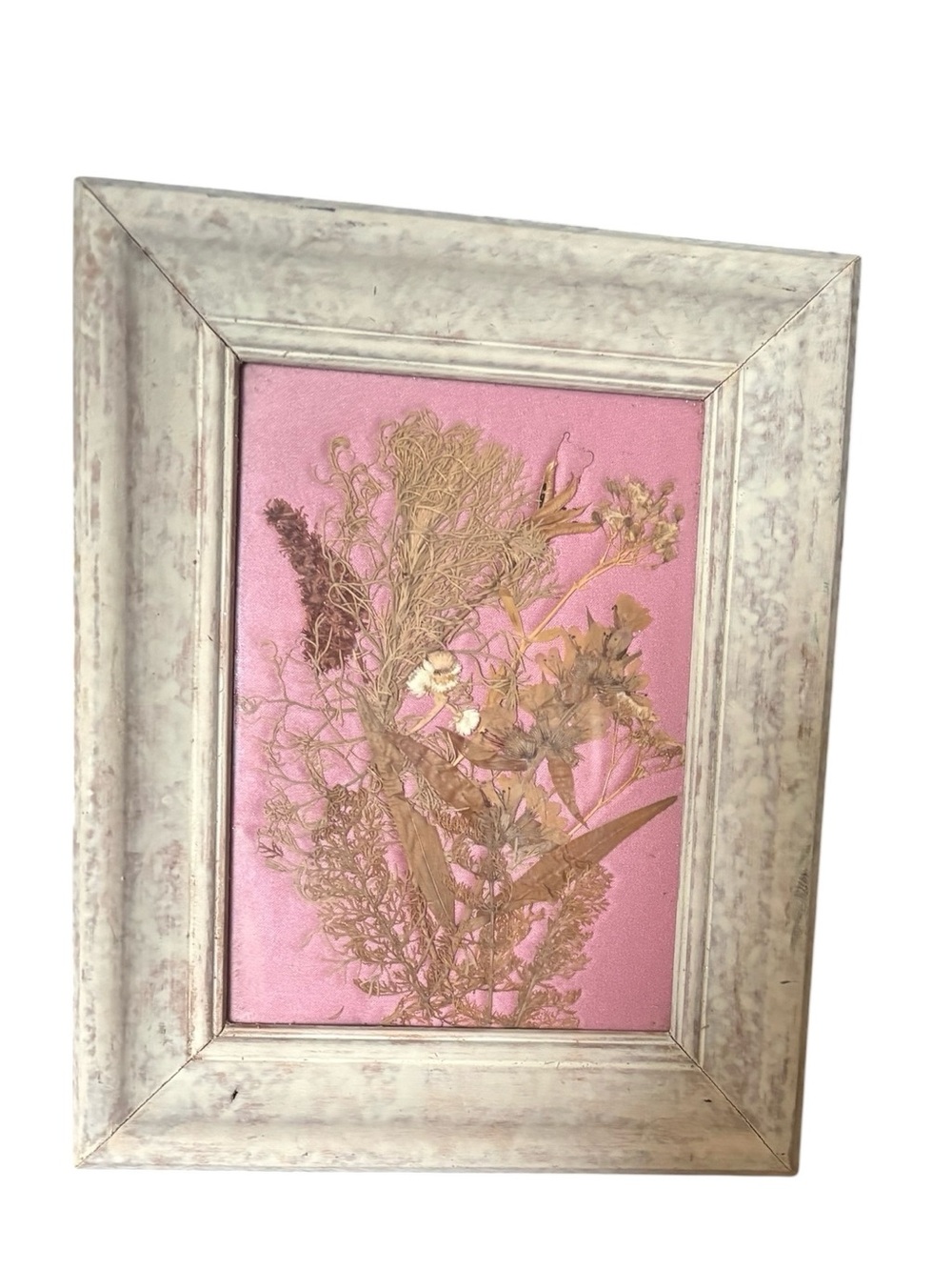 1980’s Pressed  Pink Botanical Wall Art – Neutral Wood Frame